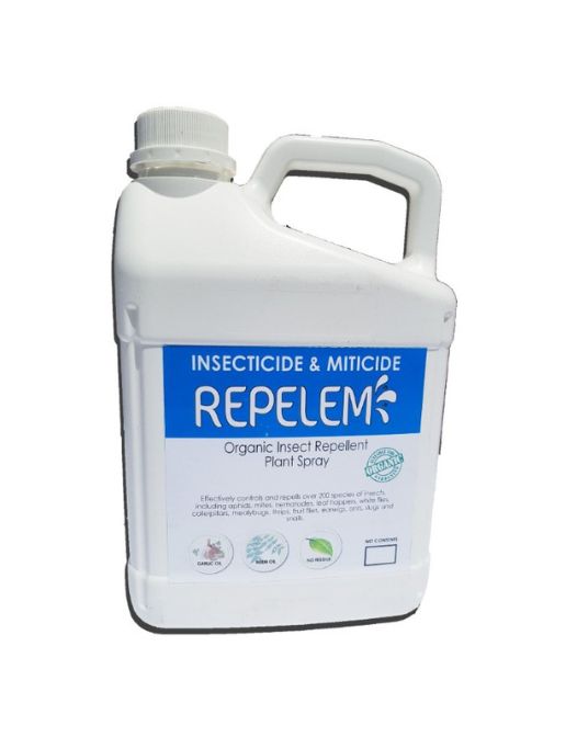 Insect and Pest control