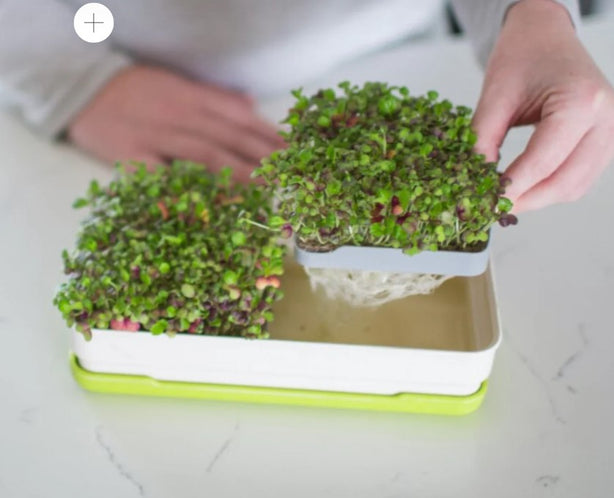 Micropod Starter Kit image 2