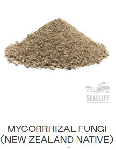 Mycorrhizal Fungi image 1