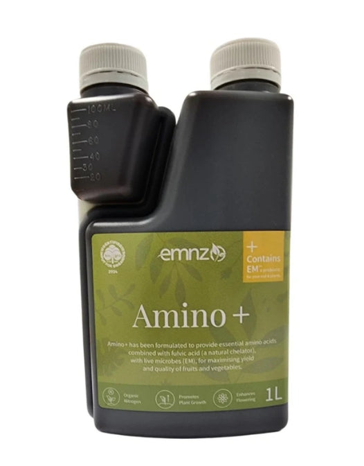 Amino +