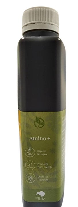 Amino +