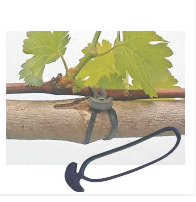 Anchor Bands 50pkt - 5cm,10cm,15cm