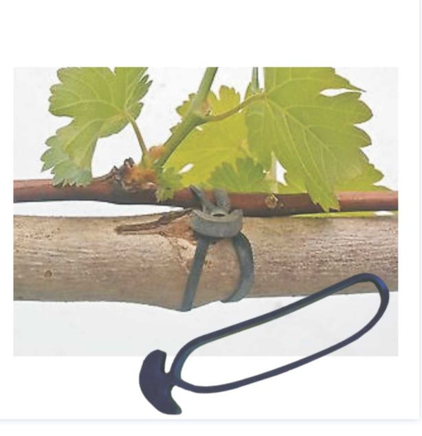 Anchor Bands 50pkt - 5cm,10cm,15cm