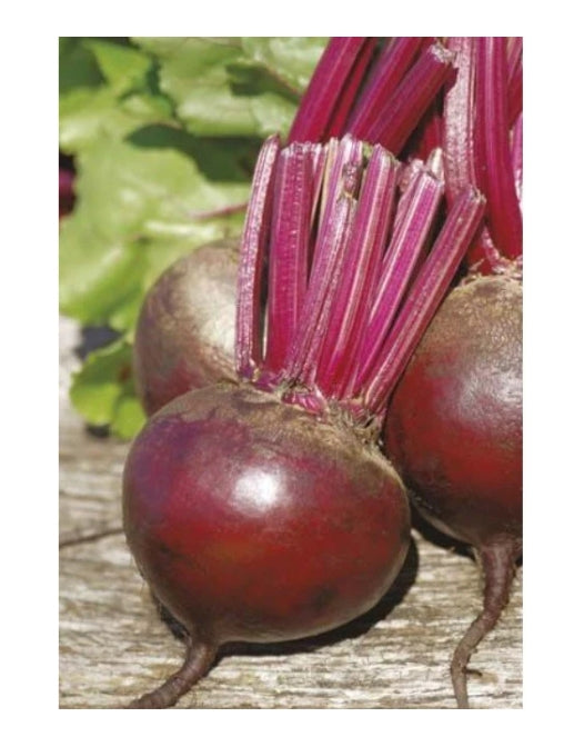 Beetroot Detroit 2 ORGANIC