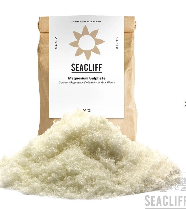 Magnesium Sulphate