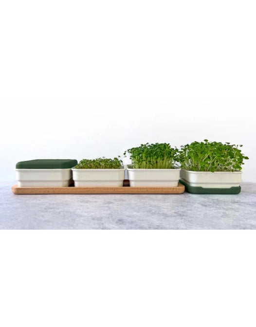 Micropod continuous grow kit