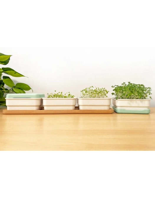 Micropod continuous grow kit