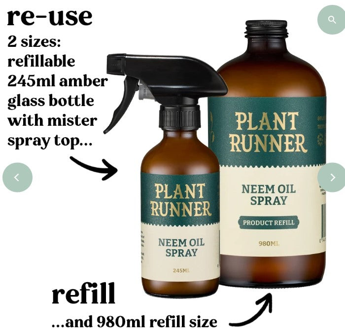 Neem Oil Leaf Shine