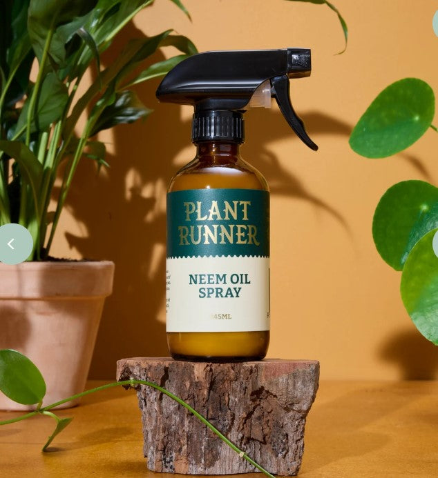Neem Oil Leaf Shine