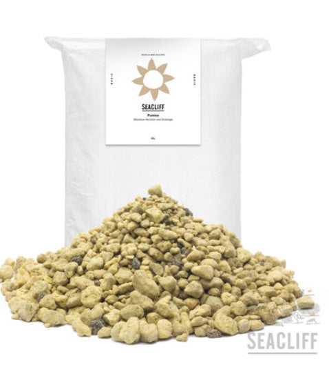 Pumice