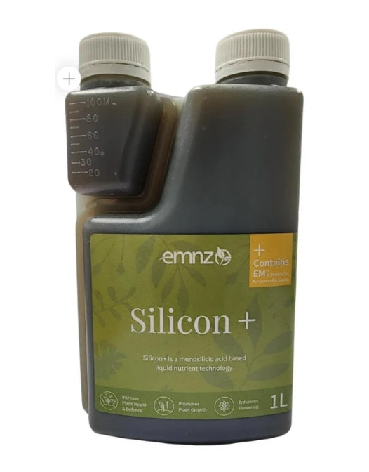 Silicon +