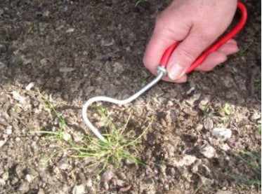 Weeder 3pk Wonder weeder image 2