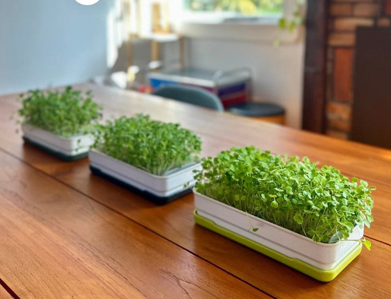 Micropod Starter Kit image 1