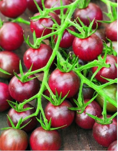 Tomato Black Cherry ORGANIC image 1