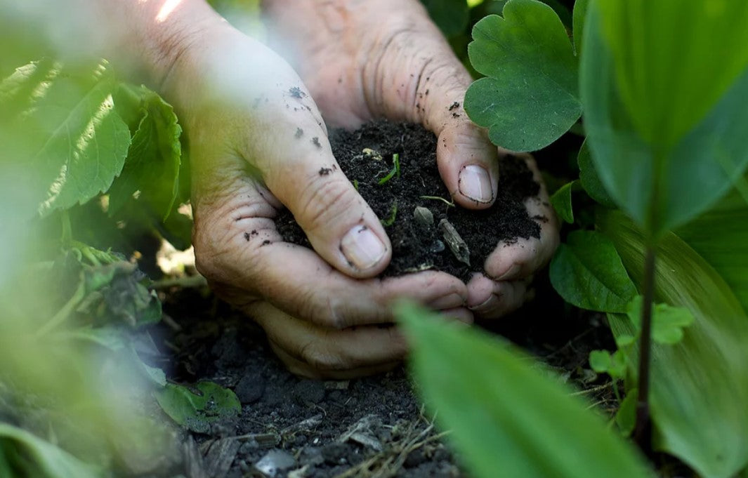 Fodda - Soil enhancer